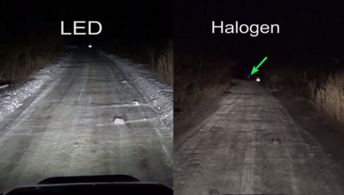 lampu halogen vs led