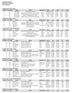Madnees Drag Bike - 1