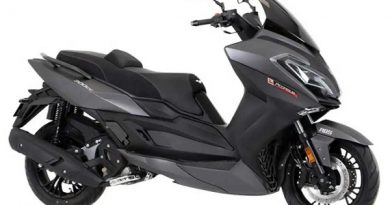 lexmoto pegasus 300-2