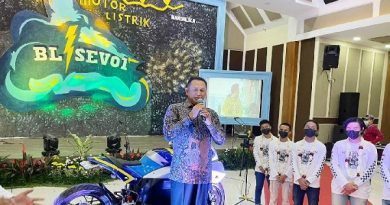 Motor Listrik BL-SEV 01