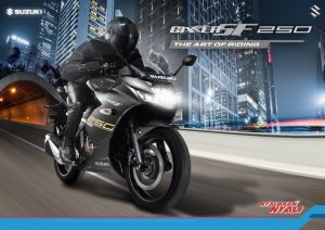 Suzuki GIXXER SF 250 - 1