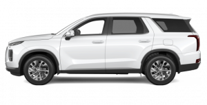 recall Palisade